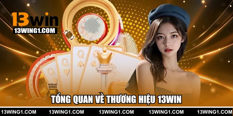 Tổng quan về thương hiệu 13WIN