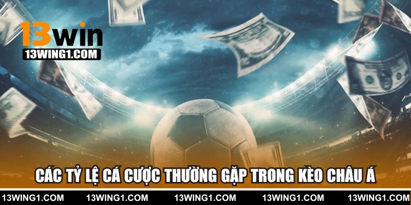 Hướng dẫn đọc kèo châu Âu đơn giản