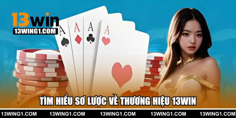 Tìm hiểu sơ lược về thương hiệu 13WIN