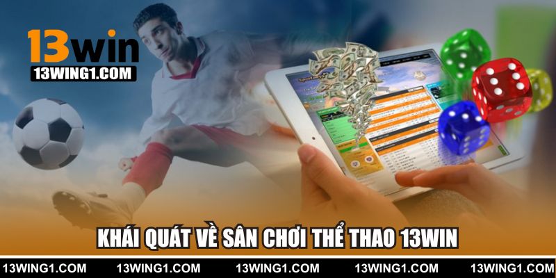 Khái quát chung về sân chơi cá cược thể thao 13win