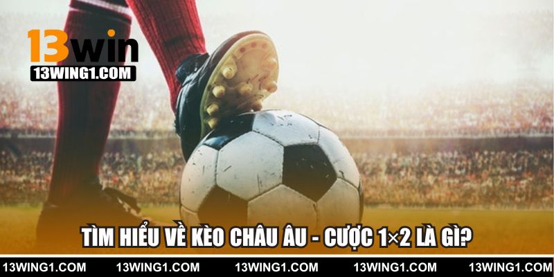 Tìm hiểu về kèo châu Âu